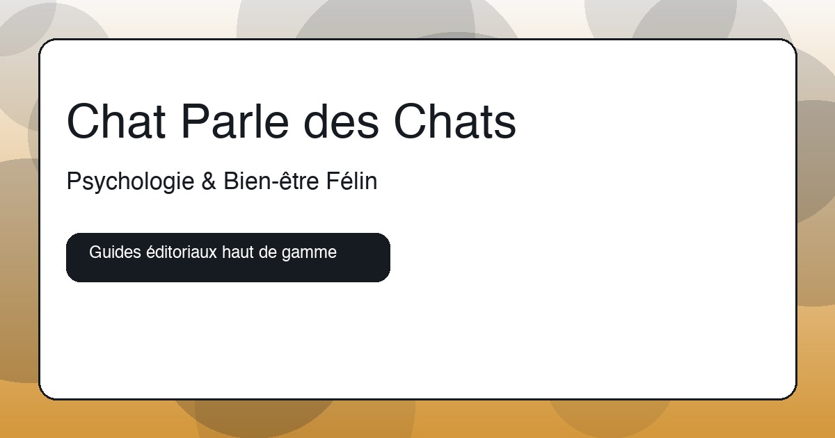 Chat observant, comportement calme en intérieur avec un coin lecture lumineux
